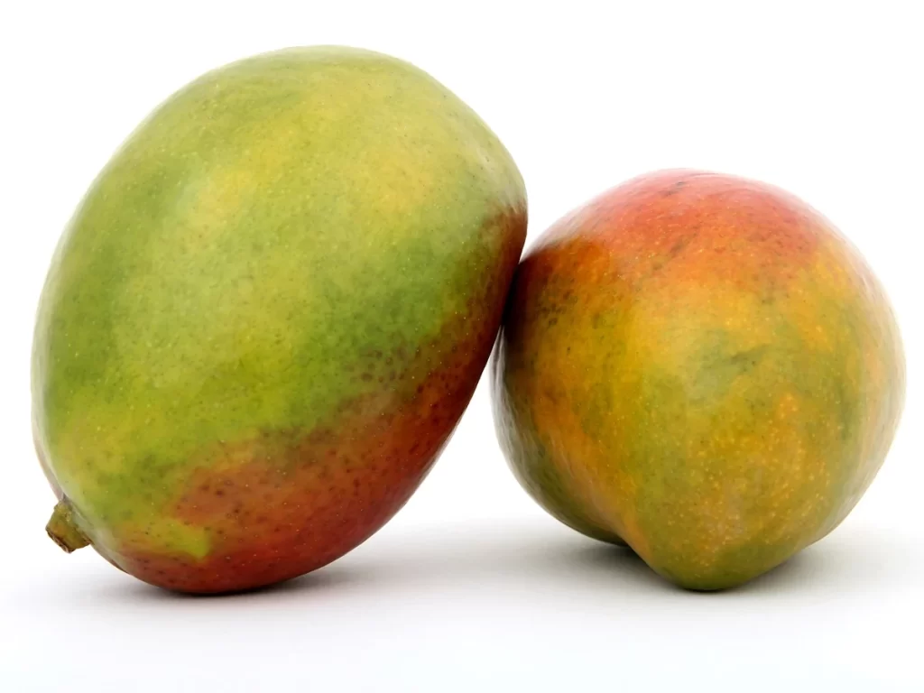 Μάνγκο φρούτο