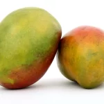 Μάνγκο φρούτο